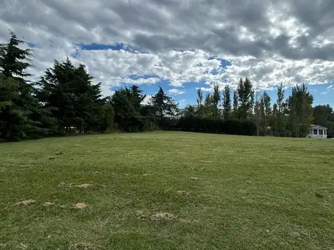 SAN MARCO VILLANUEVA 100