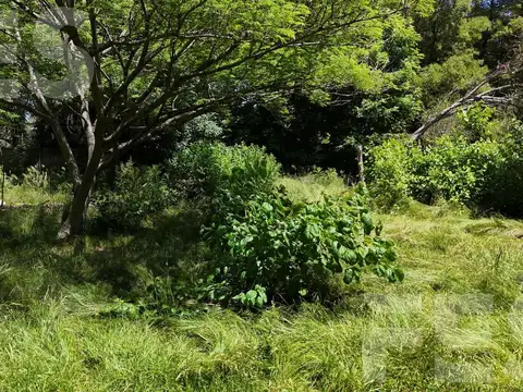 Terreno en Venta 20  mts Fondo