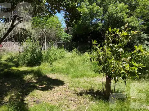Terreno en Venta 15  mts Frente