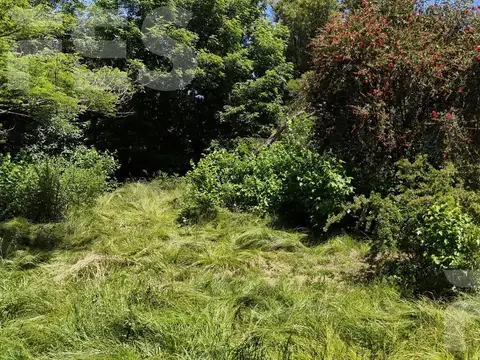 Terreno en Venta de 300,0 m2