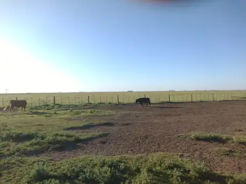 Campo en Venta de 1.400  ha