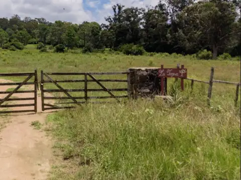 Chacra en venta de 5ha ubicado en Punta Fría