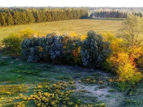 Terreno en Venta de 1000,0 m2