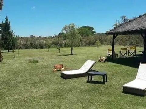 Colectora Ruta 29