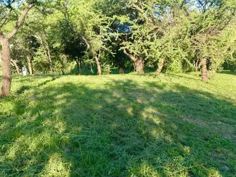 VENTA LOTE 500 METROS BARRIO LOMAS DEL CHAÑAR