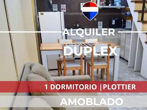 ALQUILER DE DUPLEX AMOBLADO EN PLOTTIER 