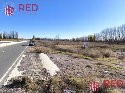 Ruta 22