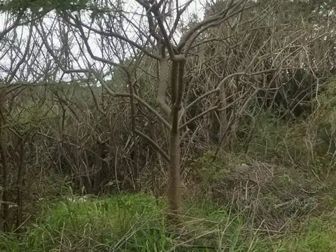 Terreno en Venta en Agua de Oro, USD 10.000