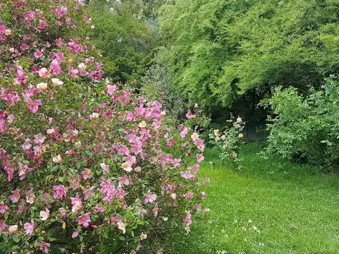 Casa 6 ambientes con 4 baños