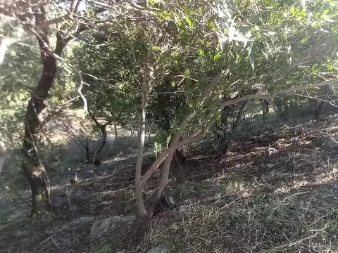 Terreno en Venta en Las Gemelas, USD 12.850