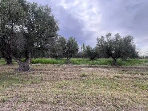 TERRENO DE 3.674,81 m2 EN RUTA 60, RUSSEL, MAIPÚ