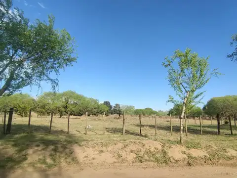 Terreno en Venta de 1000,0 m2