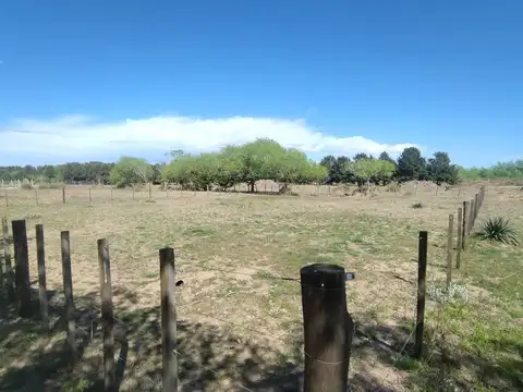 MADARIAGA 600