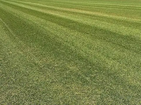 Terreno en Venta de 2799,0 m2