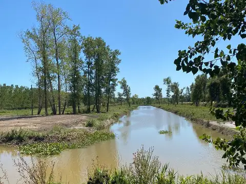 Lote con platea y muelle en venta en Delta de Escobar barrio náutico.