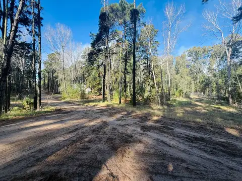 Terreno en Venta en Villarobles, USD 40.000