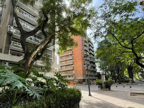 Báez 500
