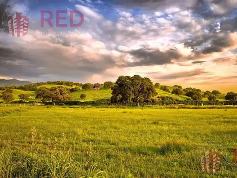 Terreno en venta - Villa Coronel Olmedo