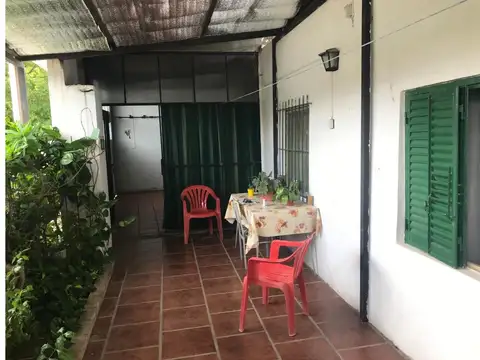Dra Ratto