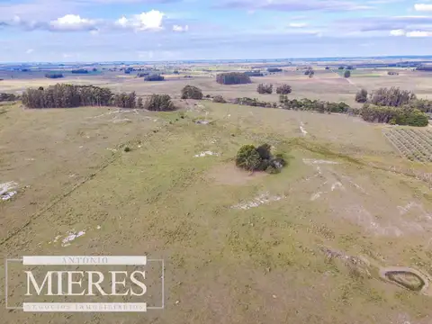 ruta 39 camino vecinal