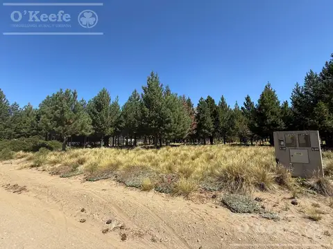 Lote plano en Dos Valle