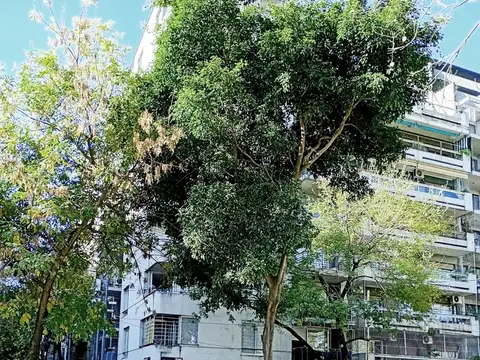 Departamento en Alquiler en Colegiales, CABA