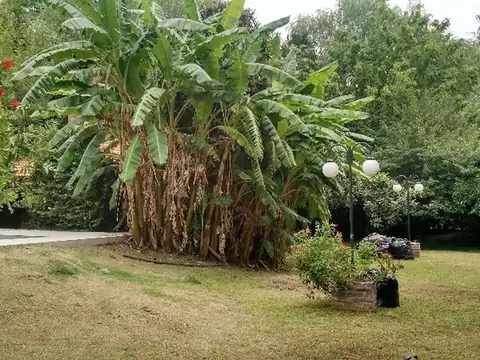 B° Peruzzoti Cod.10410