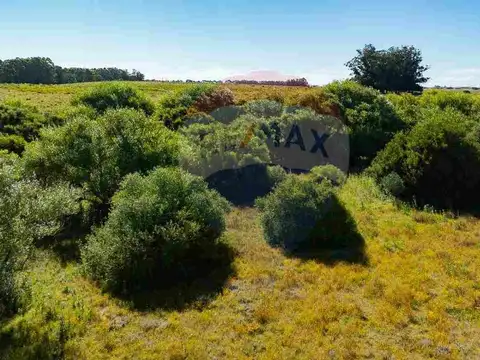 Chacra Marítima en venta - Ruta 104 José Ignacio