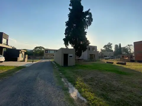 Mario Bravo 300