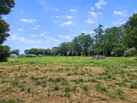 Fracción de 9.000m² en alquiler–ideal emprendimiento Sicardi