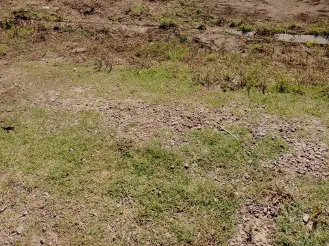 Terreno en Venta 25  mts Fondo