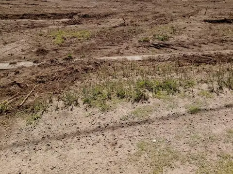 Terreno en Venta de 250,0 m2