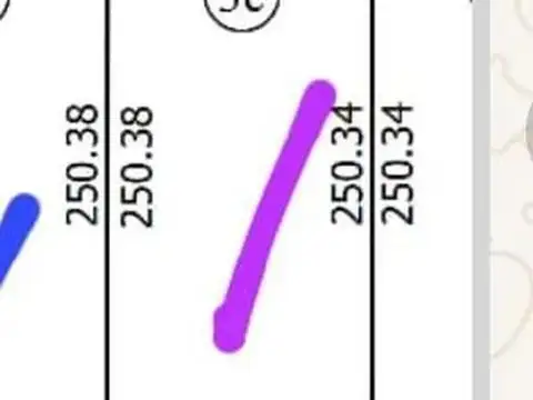 Lote de 2ha en Ibarlucea camino a Funes