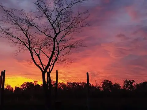 VENTA-LOTE-TERRENO-PILAR del este