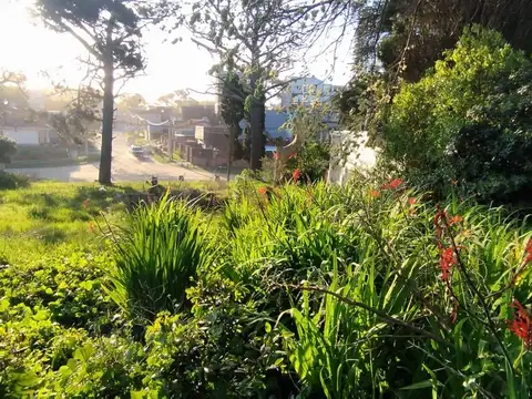Terreno en Venta en Puertos - Barrio Marinas, USD 75.000