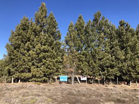 Terreno en Venta de 1493,0 m2