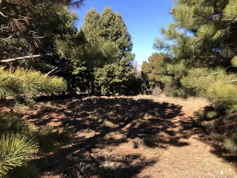 Terreno en Venta en Meliquina, USD 80.000