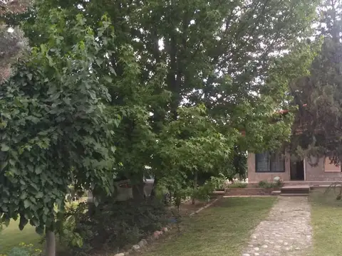 Campo- Finca en VENTA - (4) Cuatro hectáreas y Casa de 60m2 Tunuyán, Mendoza