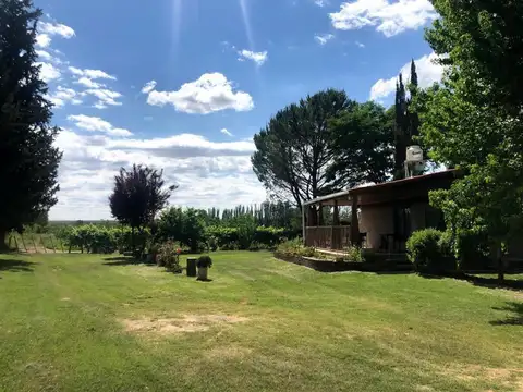Campo en Venta en Tunuyan, Tunuyán