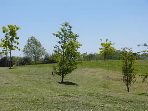 Terreno en Venta de 1105,0 m2