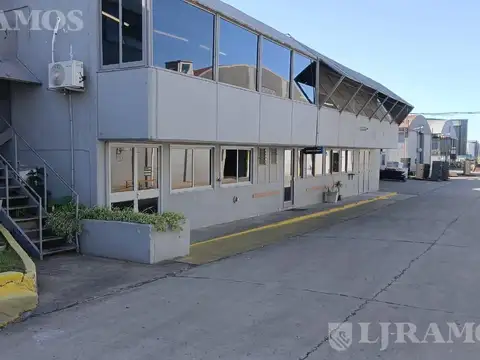 Marcos Sastre al 1500