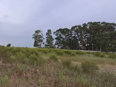 Venta terreno Cno. Dellazzopa ideal inversores