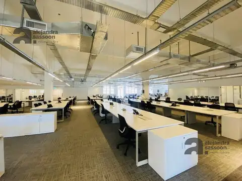 Juan Carlos Gomez y Los Patos