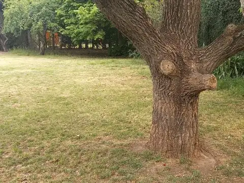 Terreno en Venta en Manuel B Gonnet, USD 58.000