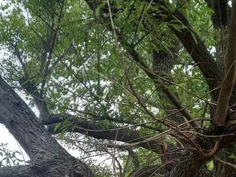 Terreno - Venta - Argentina, Manuel B Gonnet - Calle 132 bis entre 492 y 493