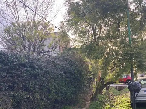 Calle 132 bis entre 492 y 493 100