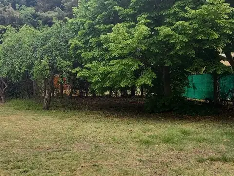 Calle 132 bis entre 492 y 493 100