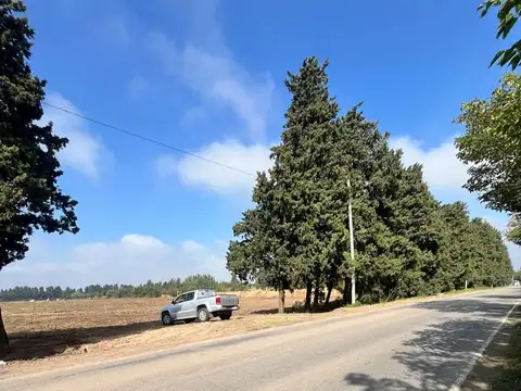 Terreno industrial Cat. I,II y III - Zarate