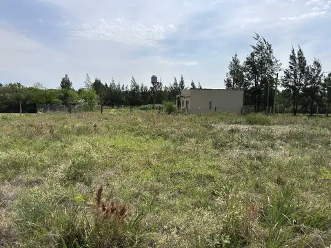 quintas