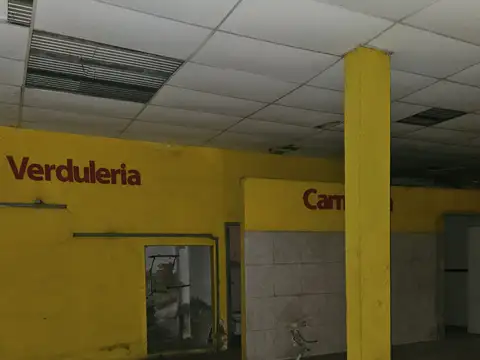 Galpon en Alquiler 53  mts Fondo